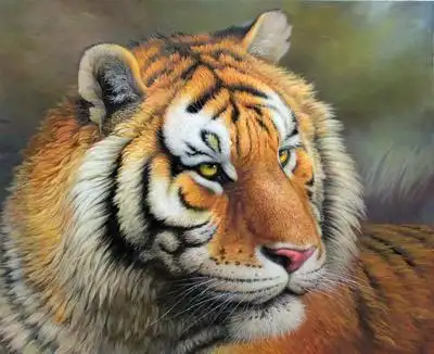 孙京玉《老虎》朝鲜名家油画【白头山出品】