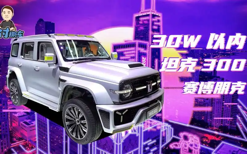 30w以内坦克300赛博朋克