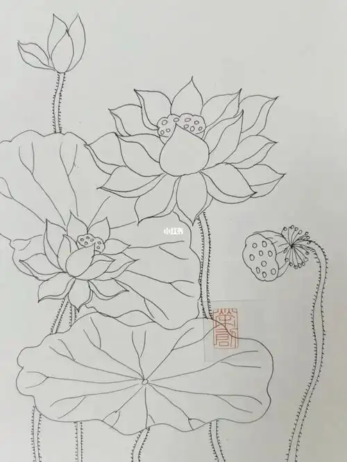 国风元素线稿100幅荷花no17