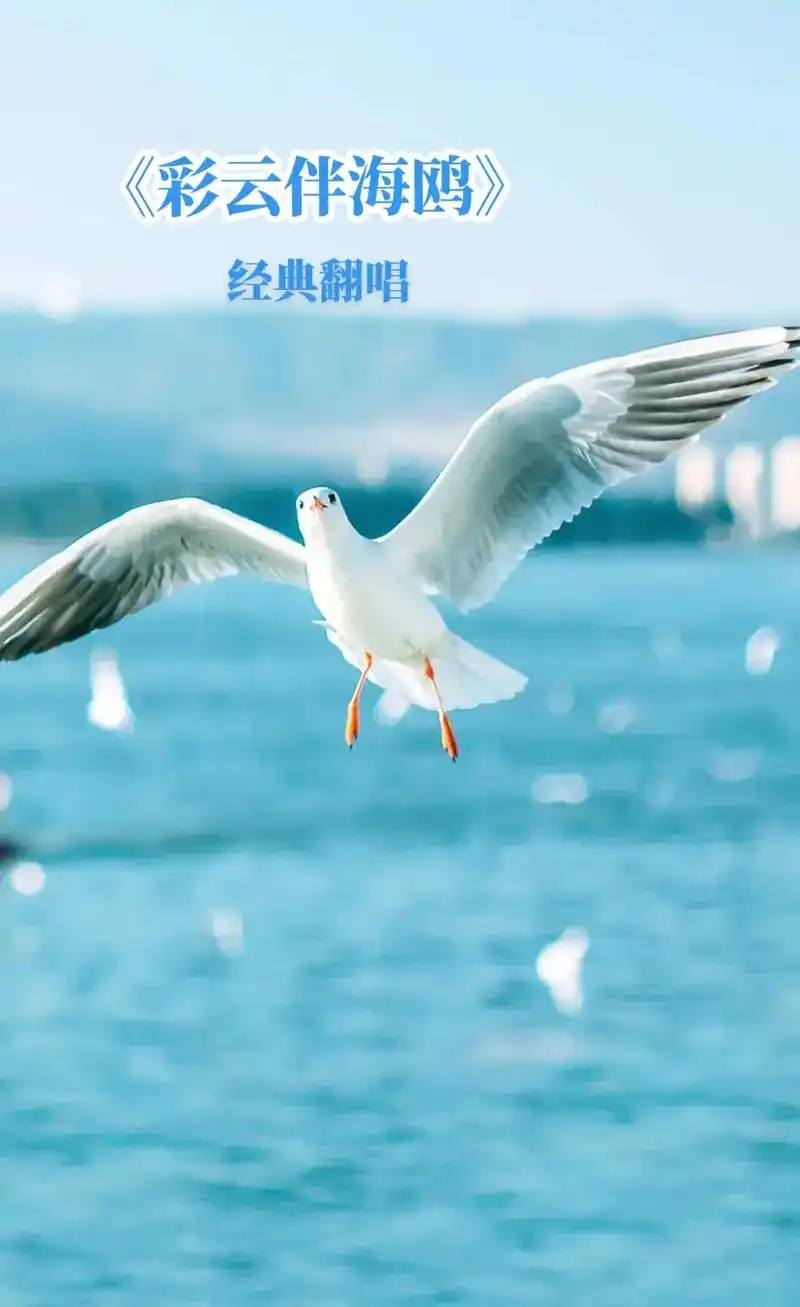 彩云伴海鸥,让我想起了那个年代,一群人守着小黑白电视机,看 - 抖音