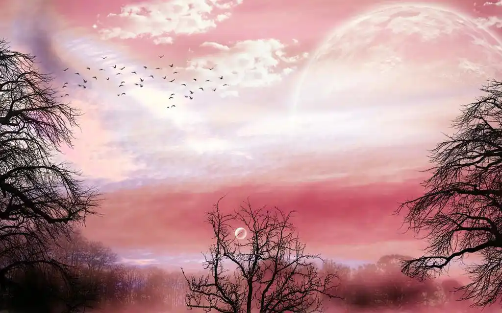 梦幻唯美的月亮壁纸