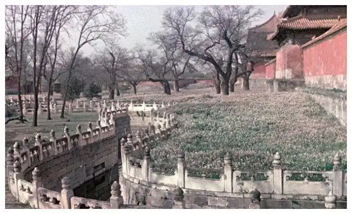 老照片:1949年北平解放时的故宫紫禁城|御花园|故宫|紫禁城_新浪新闻