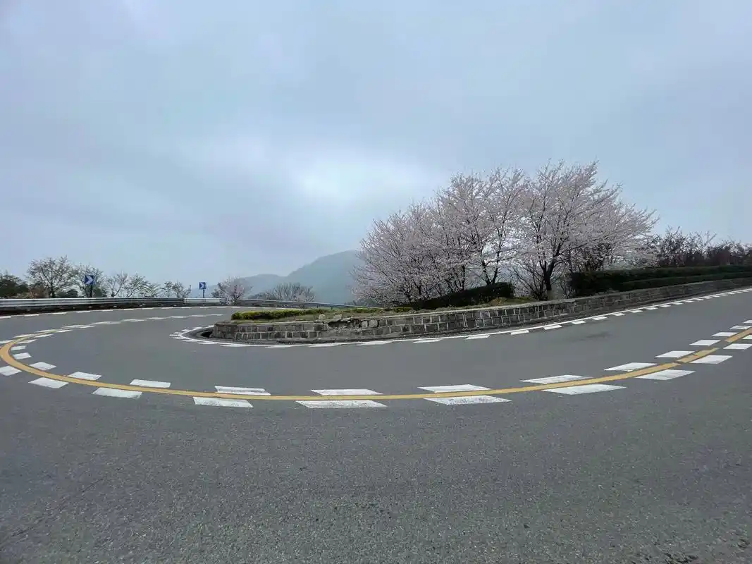 最美的风景在路上而不在终点 #感受大自然的气息 - 抖音