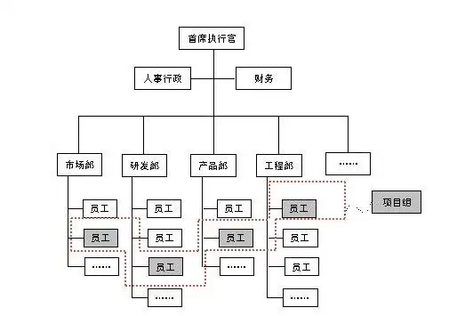 采用直线职能制组织结构的公司有哪些