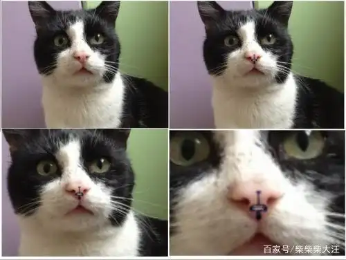 dota游戏外的欢乐时光~属于每个沙雕刀友的快乐