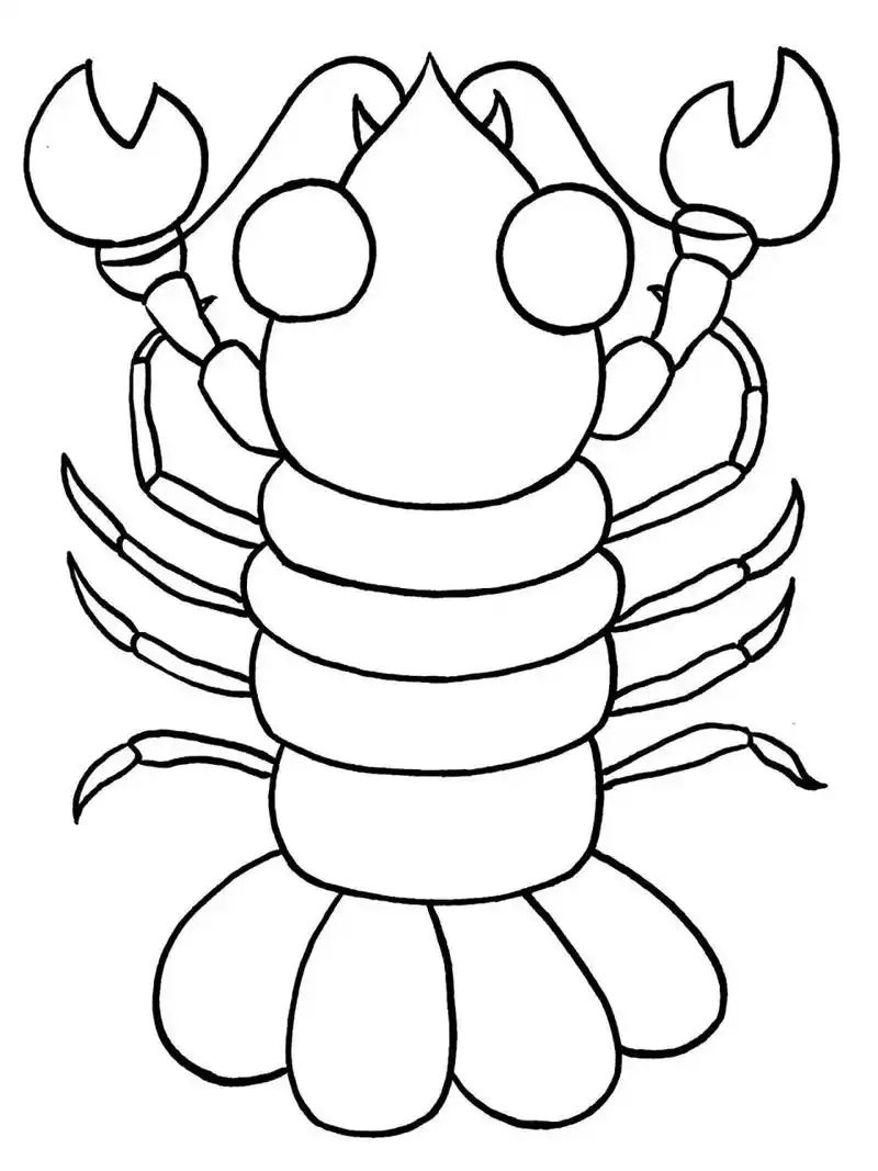 动物装饰画    大龙虾 提前祝大家教师节快乐呀