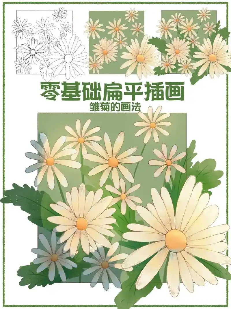零基础绘画超简单插画扁平雏菊