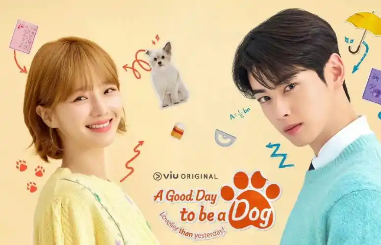 【今天也很可爱的狗】第十三集 全集 13-5.2 车银优