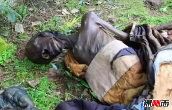 什么是痋术揭秘古代对孕妇最厉害的巫术滇南三大邪法之一