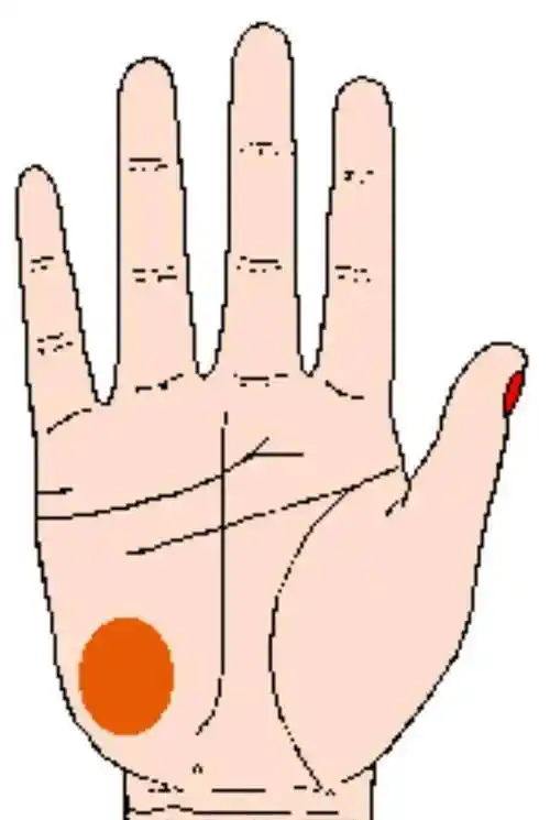 通天纹女人的手相图片