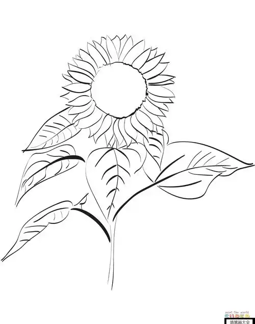 如何画向日葵_植物简笔画_简笔画大全