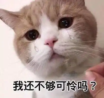我还不够可怜吗?(流泪猫咪)_猫咪_流泪_可怜_不够表情