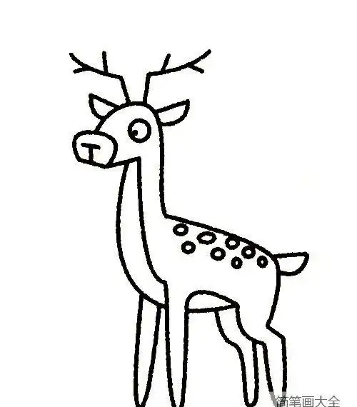 麋鹿简笔画实例及画法步骤_动物简笔画_简笔画大全