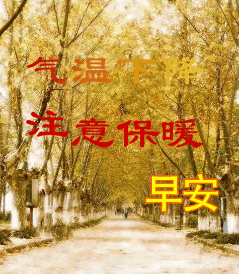 最美早上好动态图片表情_早安