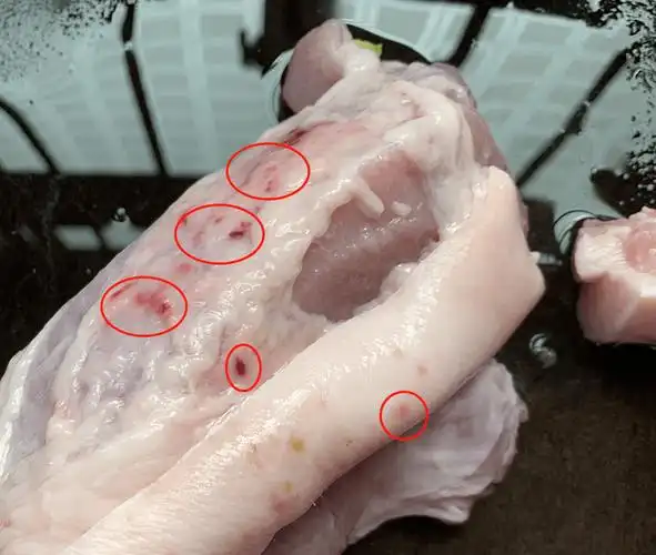 求助桂林网友又买到这样的猪肉还能吃吗