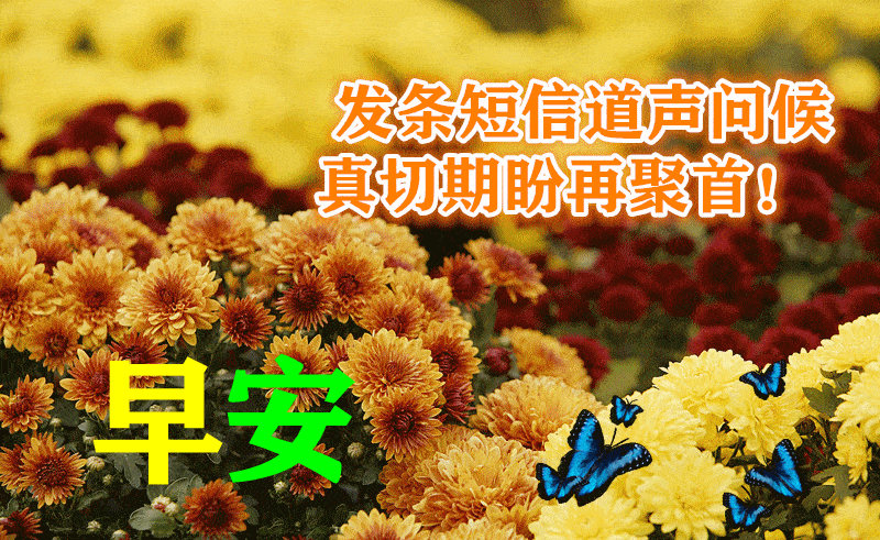 最漂亮早上好动态表情图片大全,早晨好动图美图大全_疫情