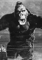 金刚(美国1933年梅里安·c·库珀执导电影)_百度百科