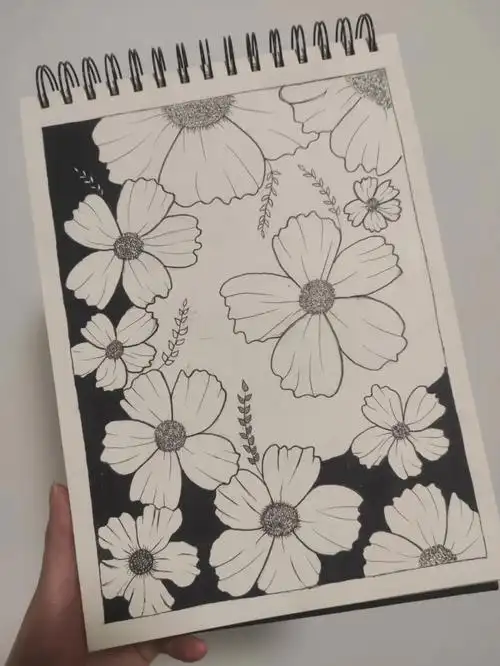 自学画画黑白画简单易学