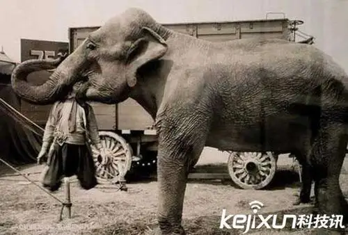 象刑在古印度和东南亚其它地区,用大象将罪犯的头踩爆是非常流行的