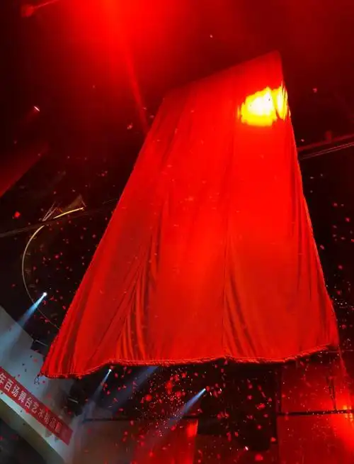 第一场是东方红大剧院的《红秀,延安延安》,这剧以爱情为主线,看得我