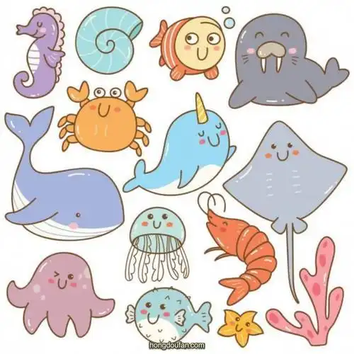 海洋生物的简笔画彩色