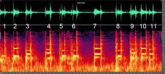 图丢失了很多信息,我们用不上; 下半图是加上时间后的频谱图(sound