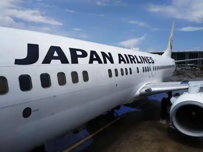 折腾系列 i : 日本航空 pvg-kix biz简报