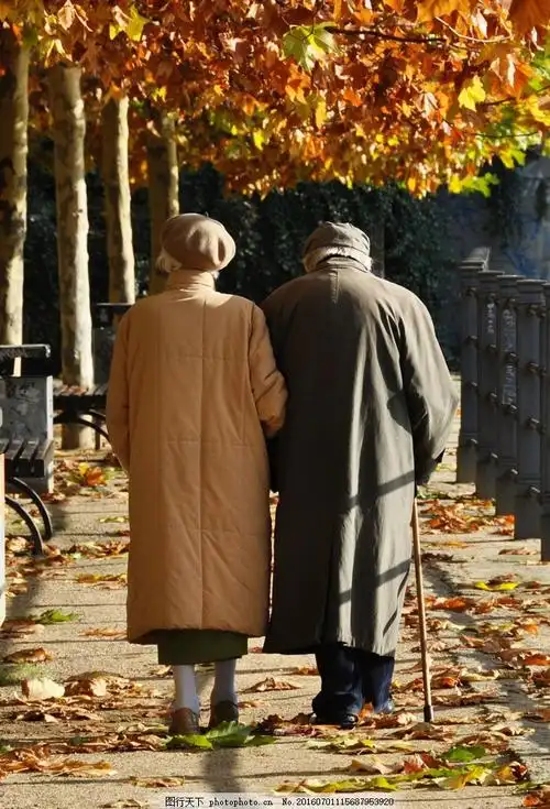 落叶与老夫妻背影 落叶与老夫妻背影图片素材 秋天 树叶 老人 拐棍