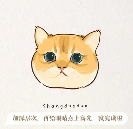 🎨ipad绘画教程:金渐层猫咪详解