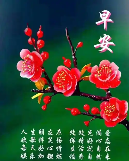 12月20日周三早上好,最新温馨早安祝福图片带字暖心问候语录_短信