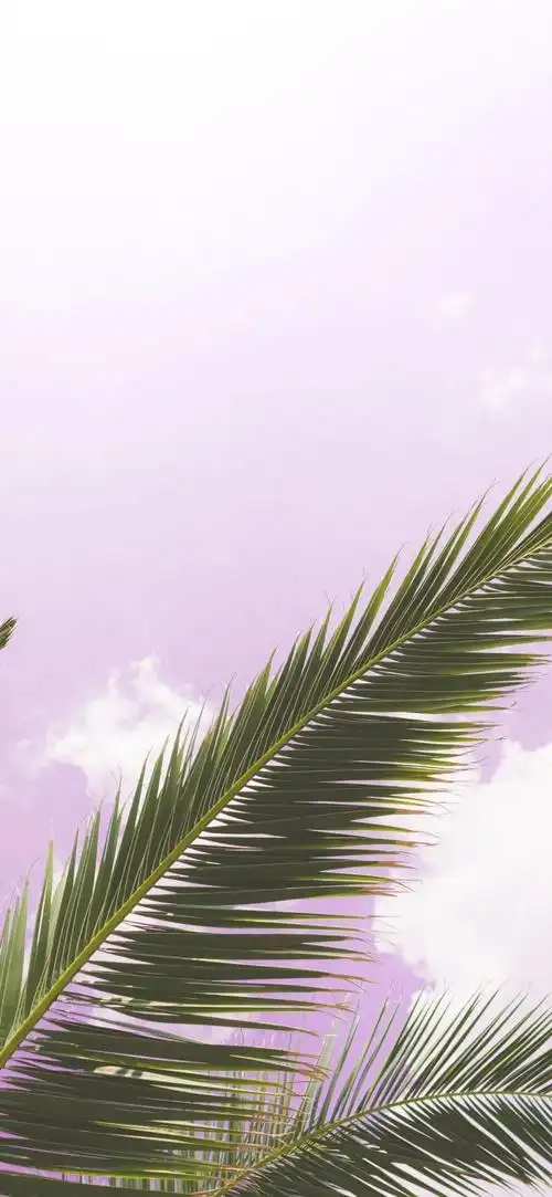 夏天到了,有没有看起来很清爽干净的高清壁纸? - 知乎