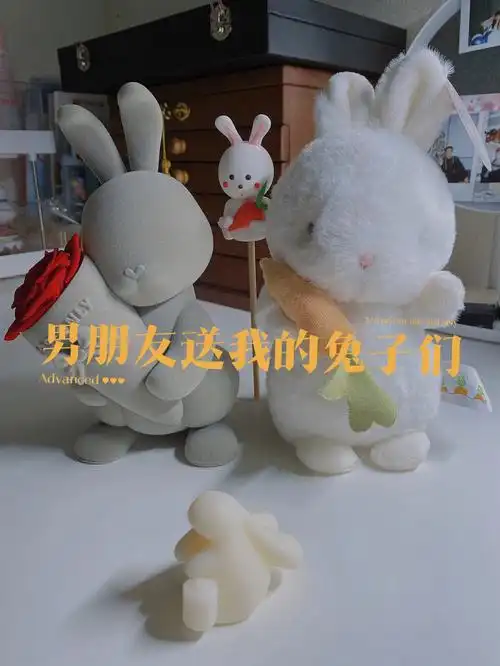 男朋友送给我的兔兔们