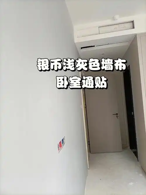 很浅不暗的银币浅灰色墙布