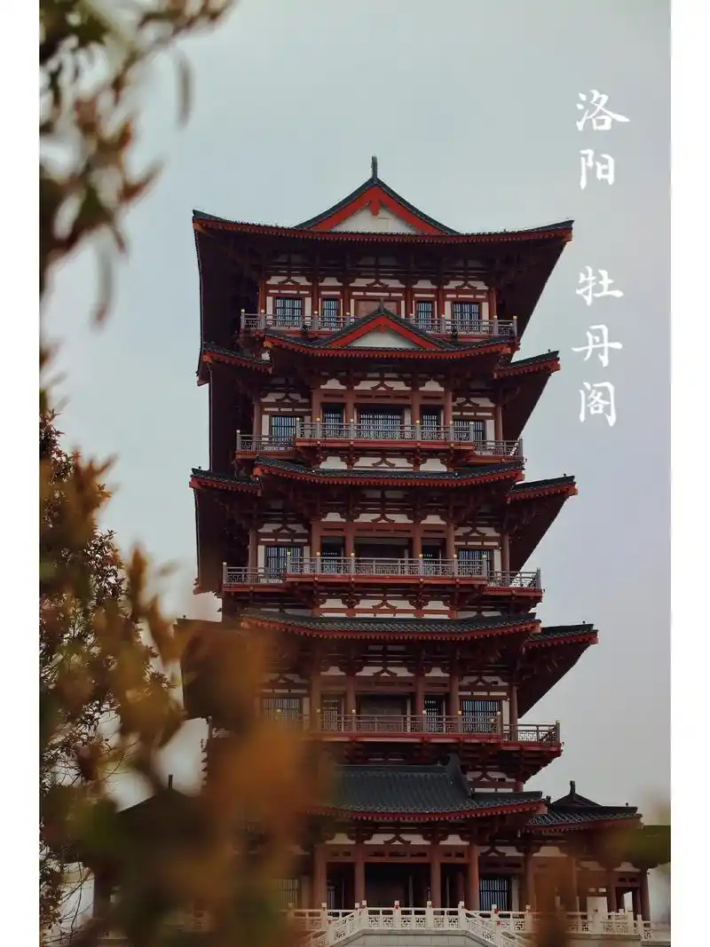 打卡牡丹阁 小众洛阳景点75.