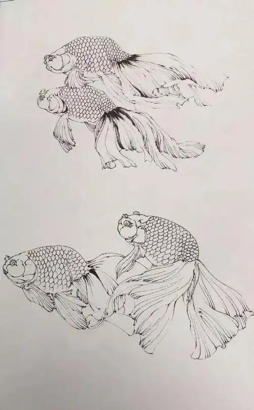 工笔画金鱼超详细的教程要好好学习了