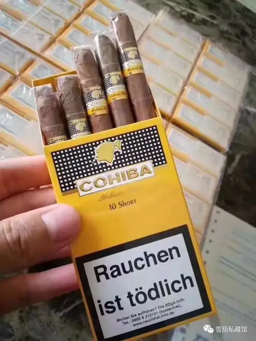 高希霸 cohiba 俱乐部迷你 短小迷你