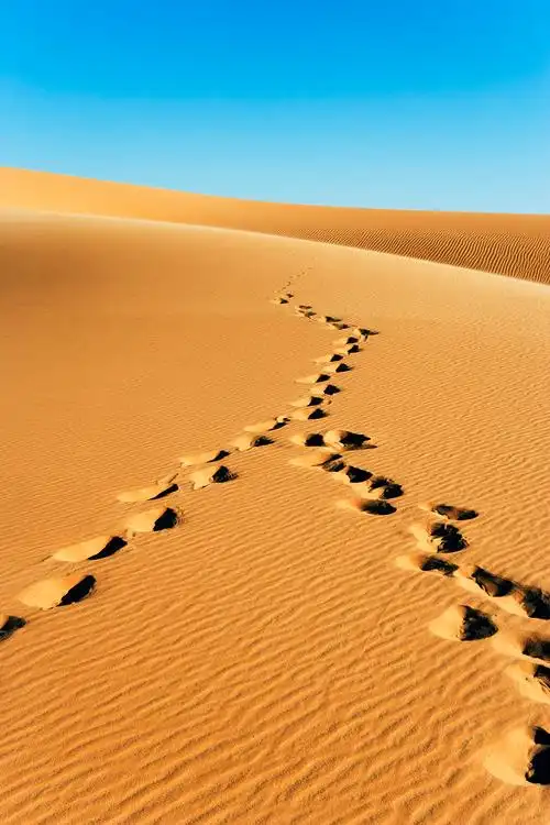 成长,就是一点一点地进步