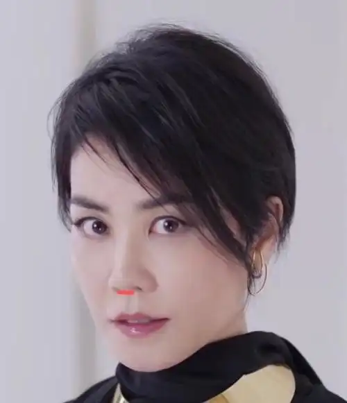 不老女神王菲的轻微挛缩逐渐蔡明化7571