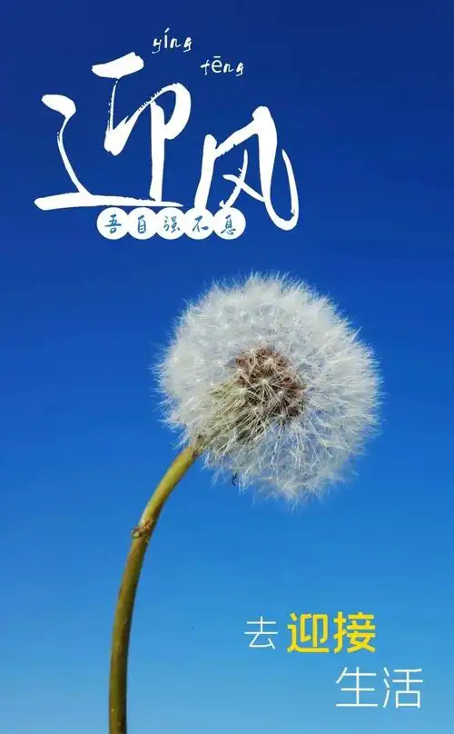 最新正能量早上好心灵鸡汤带图片阳光明媚助你积蓄力量