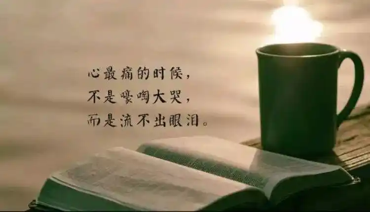 2020度最心酸的文案