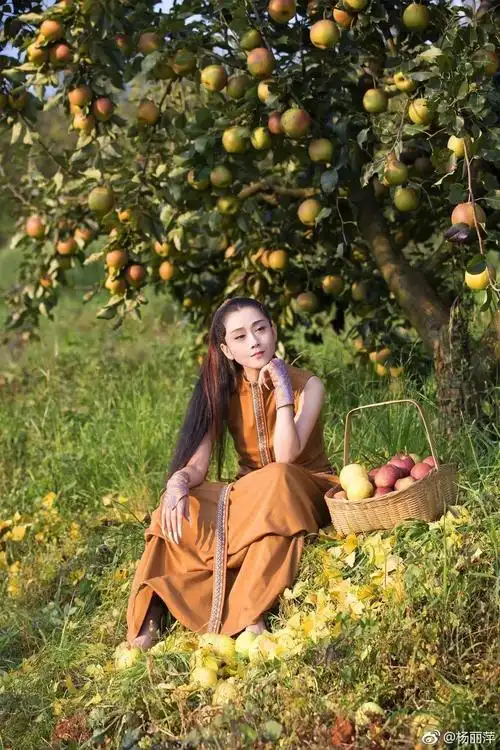 女神杨丽萍生日快乐