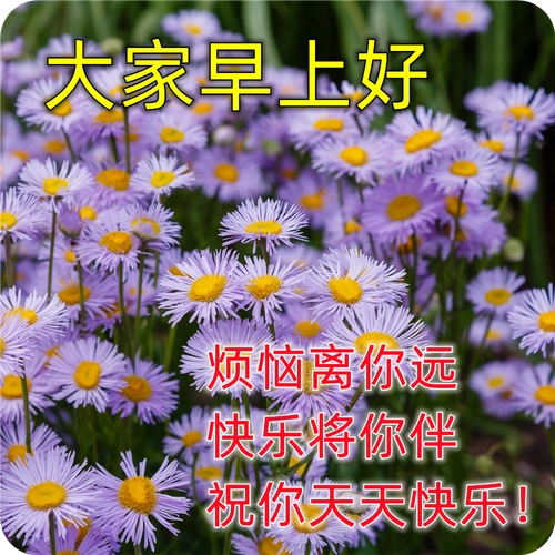 夏季清晨温暖人心的早安问候语录大全 早上好问候唯美温馨图片