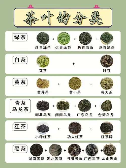 喝茶必看茶叶分类快来点赞收藏吧