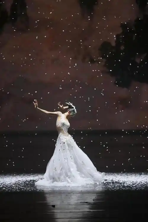 杨丽萍特别出演 舞剧《孔雀》9月19,20日昆明"展翅"