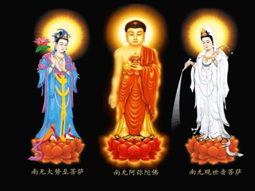 佛说大乘无量寿庄严清净平等觉经解--黄念祖老居士著