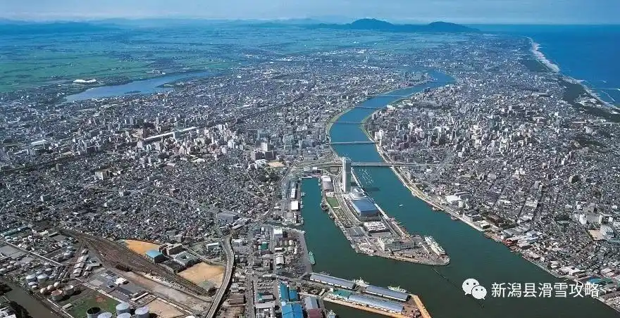 去日本新潟市旅游,这篇攻略能承包你的吃喝玩乐