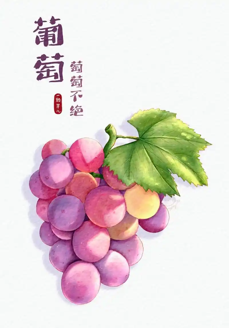 板绘水彩||直播带画水果第十弹-葡萄99.葡萄的谐音梗来啦: - 抖音