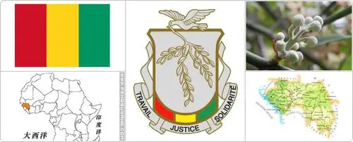 几内亚国旗/国徽/国歌/国花