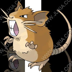 小拉达:不是你死 就是我亡