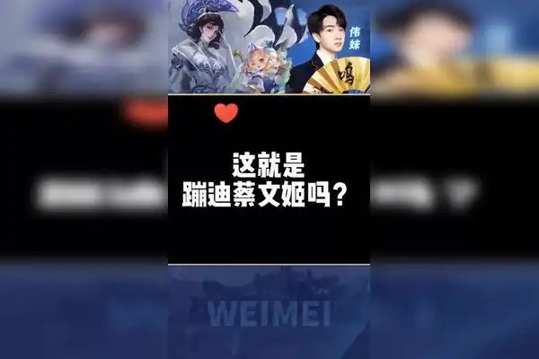 关于死去的蔡文姬突然开始蹦迪这件事伟妹王者荣耀国服蔡文姬02